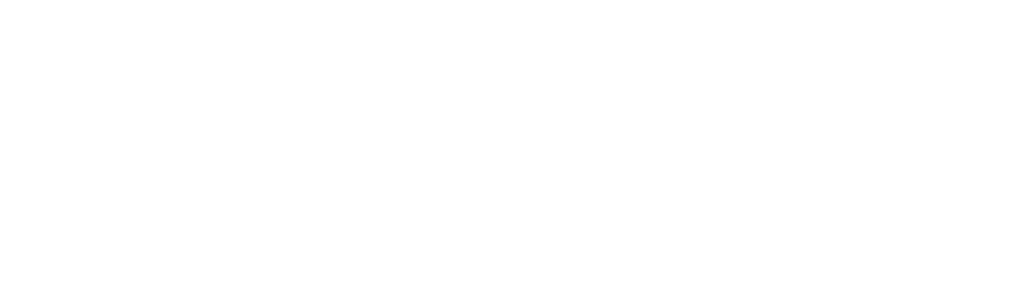Society for Internal Affairs